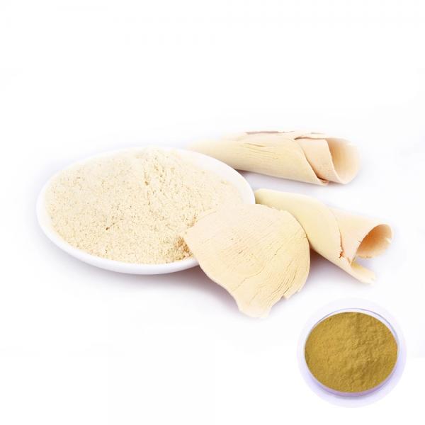 Купить Эврикома Длиннолистная экстракт, Eurycoma Longifolia ( Тонгкат Али х10, Пасак Буми )