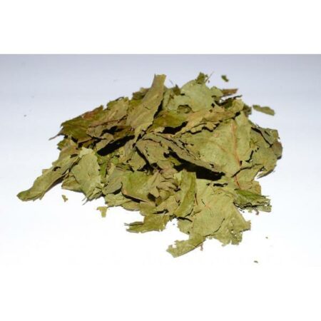 Купить Banisteriopsis caapi (Лоза Каапи Лиана)