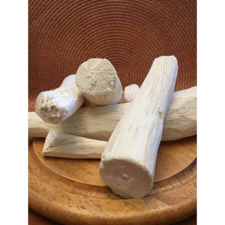 Купить Синаптолепис Кирки / Synaptolepis Kirkii