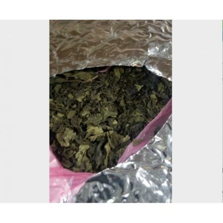 Купить Сухие листья Khat(Catha edulis) 50 грамм