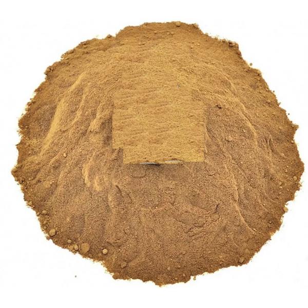 Купить Весёлка обыкновенная, экстракт сухой х6 (Phallus Impudicus, Фаллюс Нескромный, ext. x6)